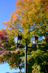 Close up vintage street lamp with red green yellow leaves background, autumn season at Japan