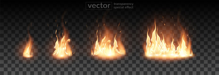 Burning fire.The effect of transparency. Highly realistic illustration.