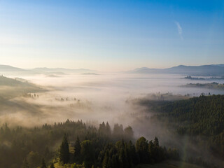 Plakat Morning fog in the Ukrainian Carpathians. Aerial drone view.