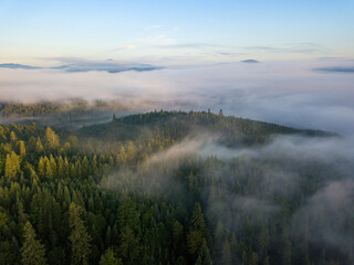 Foggy summer morning in the Ukrainian Carpathians. Aerial drone view.