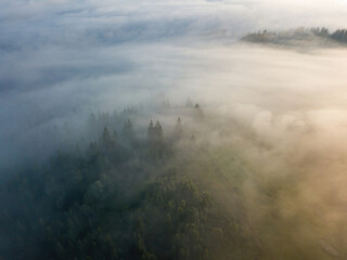 Obraz premium Fog envelops the mountain forest. The rays of the rising sun break through the fog. Aerial drone view.