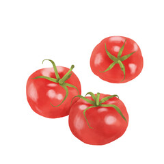 水彩タッチのトマト