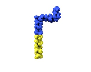 Ukraine Hearts Font Letter