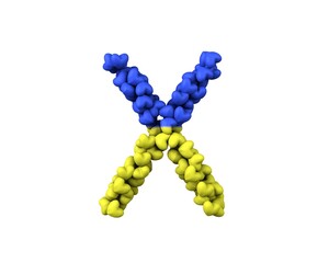 Ukraine Hearts Font Letter X