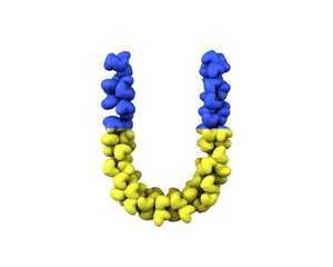 Ukraine Hearts Font Letter U