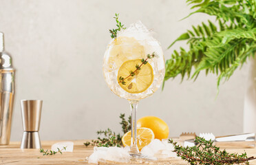 Gin tonic alcoholic cocktail drink with dry gin, bitter tonic, lemon juice, thyme and ice, bar...