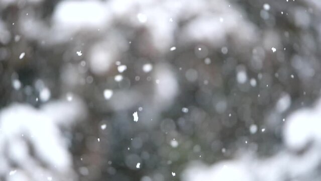 雪景色　スローモーション　長野県木曽郡上松町　日本　