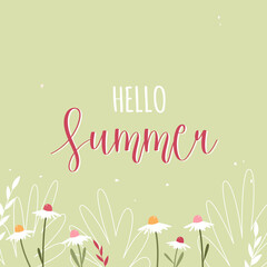 Hello summer. Green banner with pink and white spring flowers. Flat isolated flowers and plants.