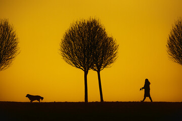 black silhouette on colorful background of setting sun figure and dog