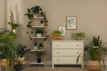 Stylish room interior with beautiful houseplants and furniture near grey wall