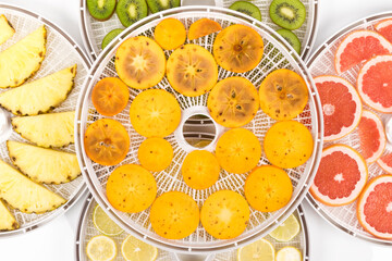 drying trays with fresh fruits, top view