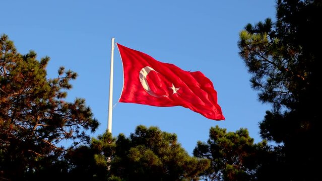Waving Turkish Flag between the trees. Turkish nation. Public holidays of Turkey. Cumhuriyet bayrami or Republic day, zafer bayrami or victory day of Turkey background 4k video.
