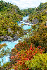 Water flowing through this river from a newly opened dam