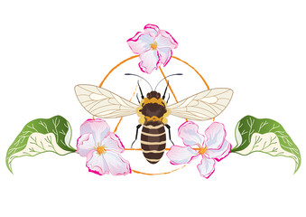 vector illustration with flowers of apple and bee (EPS10)