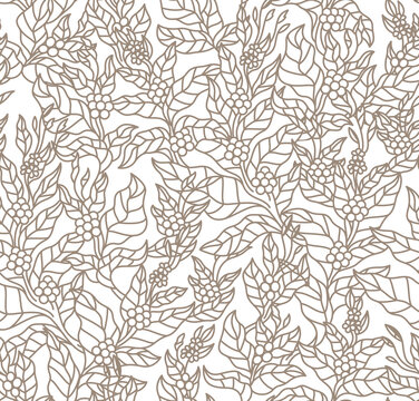 pattern seamless of coffee tree branches with flowers, leaves and beans. Botany drawing, Line art design.