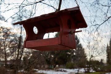 Red wooden birdhouse hanging on a tree branch.