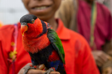 person with parrot
