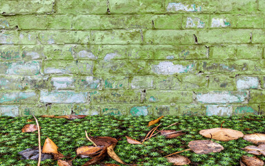 An old brick wall and a grassy lawn with fallen leaves in front of it.