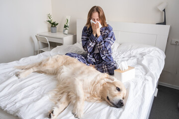 A young woman sits next to her dog on the bed and sneezes. The concept of allergies to pets.