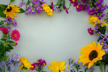 Autumn floral flat lay. Small multicolored asters on a gray pastel background top view. Beautiful design frame. Copy space, creative floral background. Mother's Day concept, mockup postcards