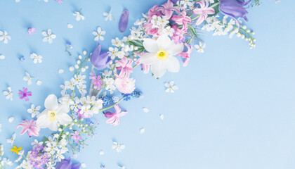 spring flowers on paper background