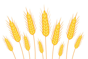 Wheat banner. Happy Shavuot. Template for your design. Vector illustration