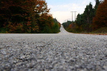 An autumn view of a road in Evros mountains in Greece