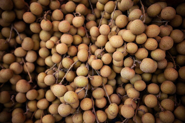 Longan background