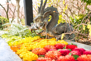 龍と菊の花