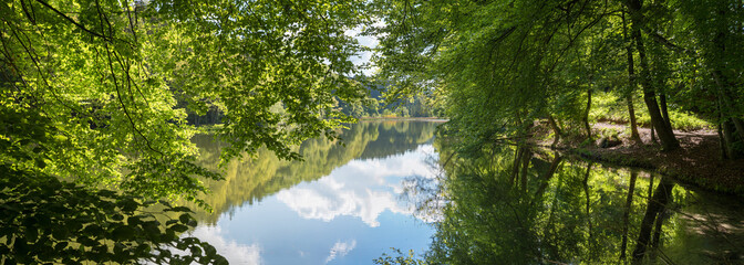 pictorial moor lake Thanninger Weiher, green spring landscape, hanging branches of beech trees
