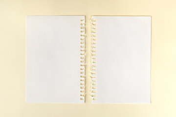 paper with side perforation