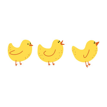 Vector illustration of cute yellow little chickens in cartoon doodle style