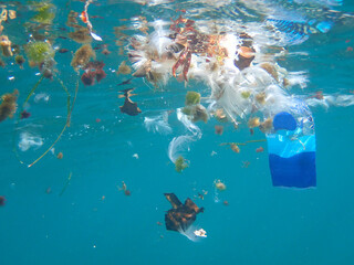 Underwater view on pollution of the ocean with plastic (Canary Islands, Spain) - 494407008