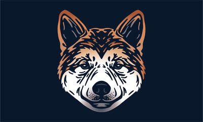 Akita Inu on dark background