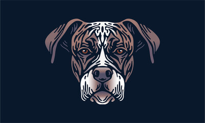 Boxer on dark background - Pet portrait
