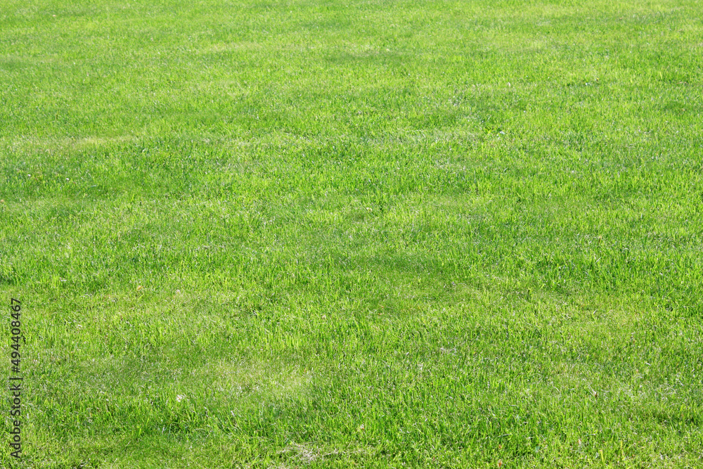 Poster background image of lush grass field