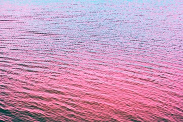 pink lake water surface