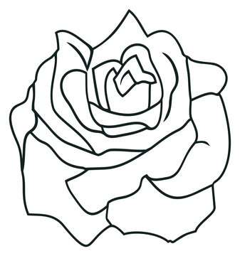 Rose Vektor Blüte mit abstrakter Kontur in Schwarz. Weißer isolierter Hintergrund.