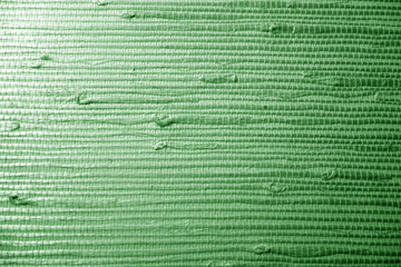 Natural bamboo wallpaper texture in green tone.