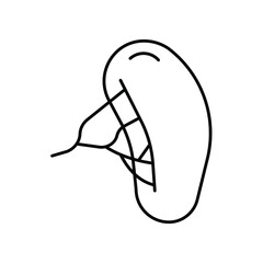 spleen. Line icon for web design