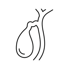 gallbladder. Line icon for web design