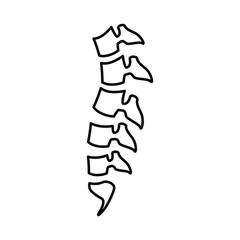 spine, spinal cord. Line icon for web design