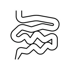 intestines, small intestine. Line icon for web design