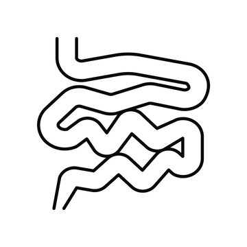 recommend clip art: intestines, small intestine. Line icon for web design