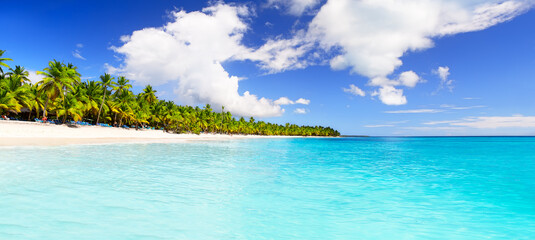 Panorama of coconut palm trees on white sandy beach in Saona island, Dominican Republic. - obrazy, fototapety, plakaty