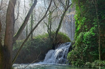 Fototapeta na wymiar Misty waterfall in the forest