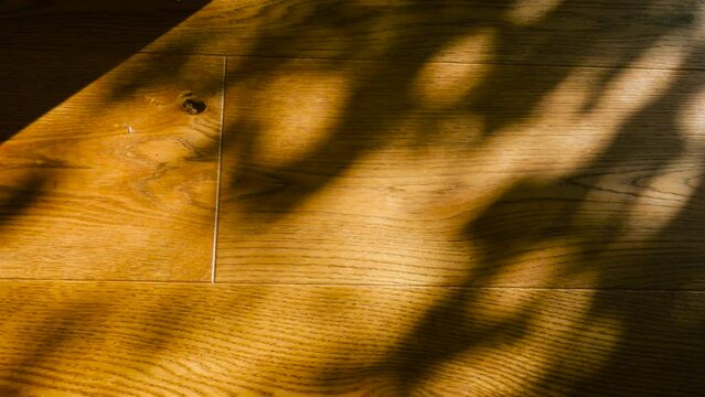 Shadows on parquet flooring