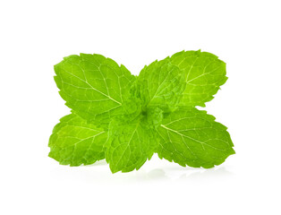 mint leaves herb isolated on white background