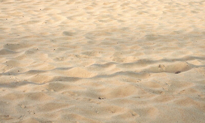 yellow sand texture background