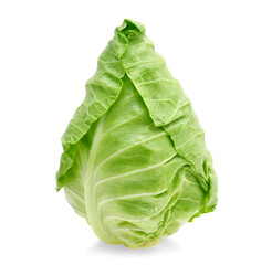pointed cabbage isolated on white background